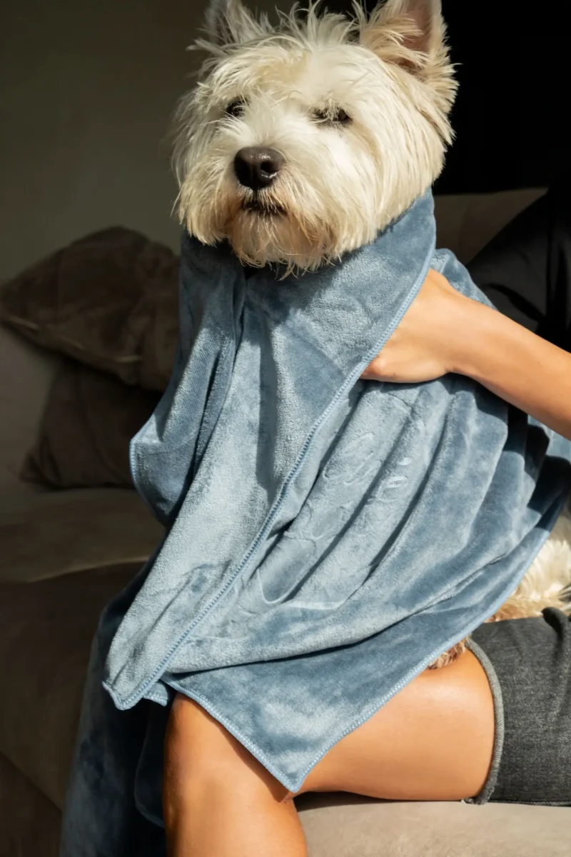 Milka (75 of 106)+ rnksluostis-augintiniui