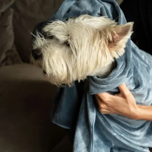 Milka (77 of 106)+ Mikropluošto rankšluostis augintiniui