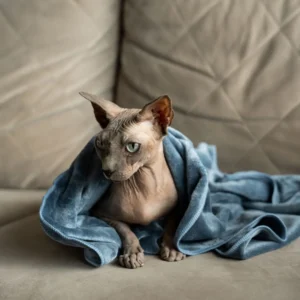 Milka (80 of 106)+ Mikropluošto rankšluostis augintiniui